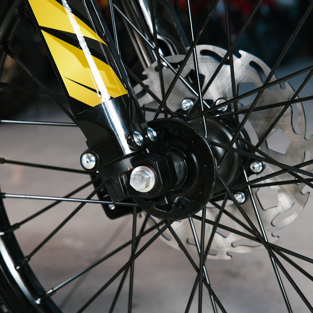 IMG_5999