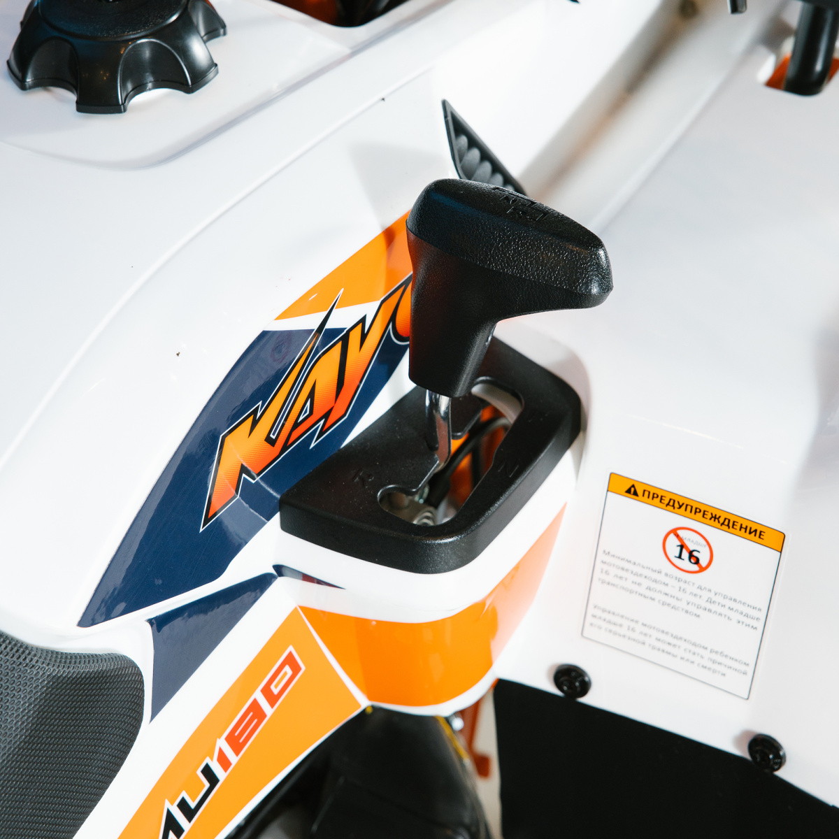 IMG_6589