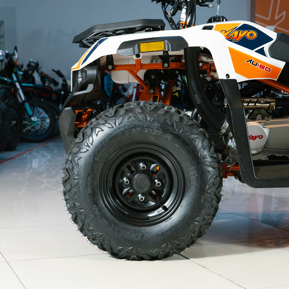 IMG_6561